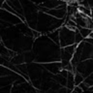 Meet your Posher, Shayla